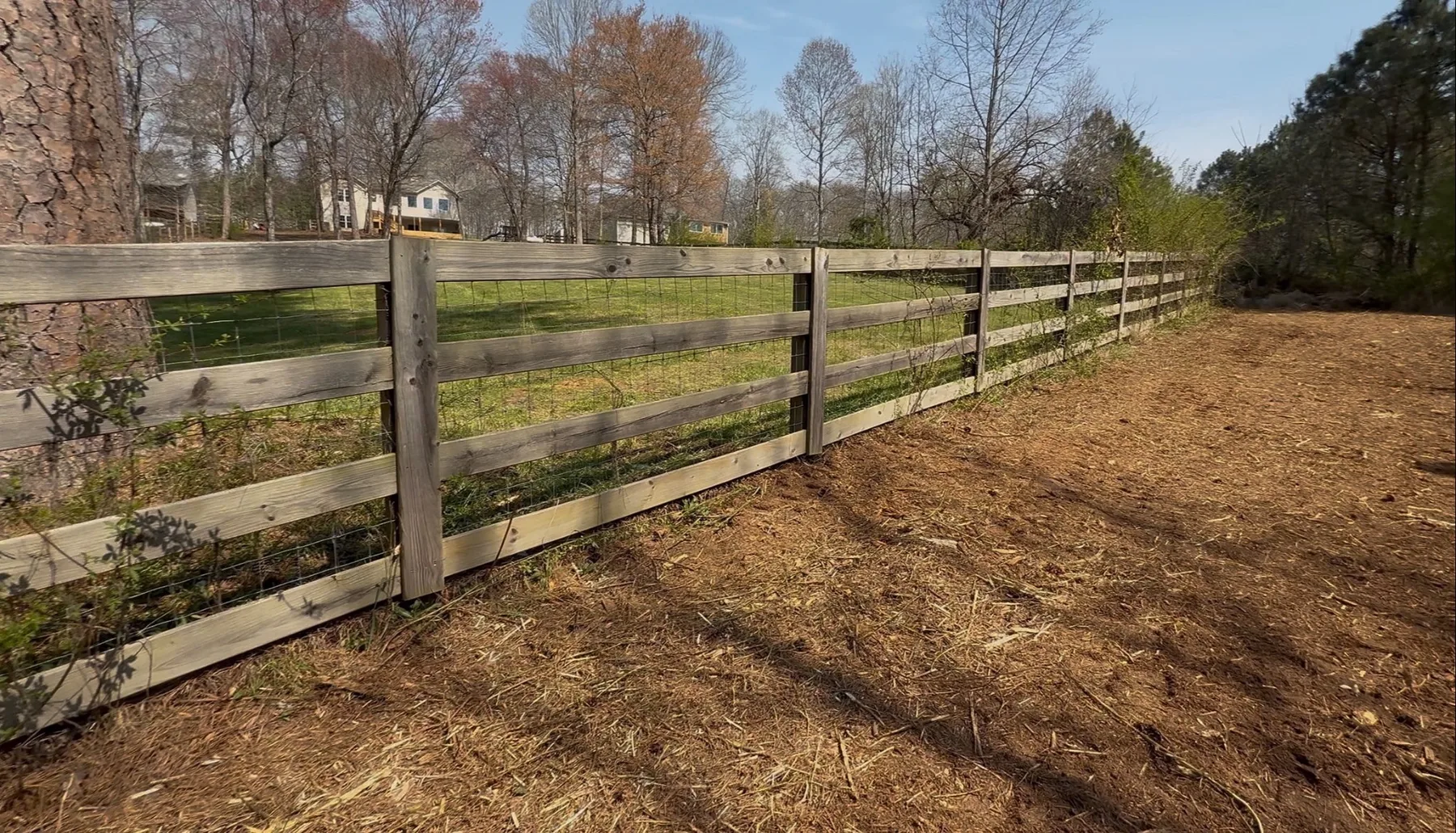 Fence line after brush clearing